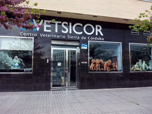 Hospital Veterinario Vetsicor MiVet