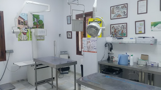 Veterinario Gregorio Ruano // Clinica Falabella
