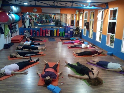 Padma Shala Escuela Tradicional de Yoga