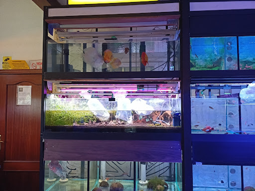 Aqua Flor Aquarium
