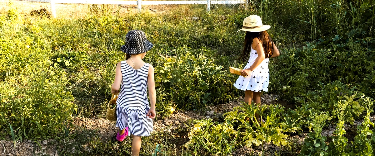 ¿Cuáles son las actividades que se pueden realizar en una granja para ir con niños en Córdoba?