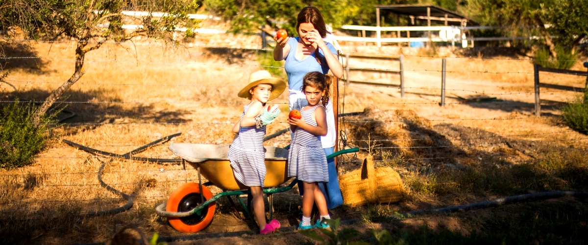 ¿Cuáles son las opciones de granjas para visitar con niños en Córdoba?