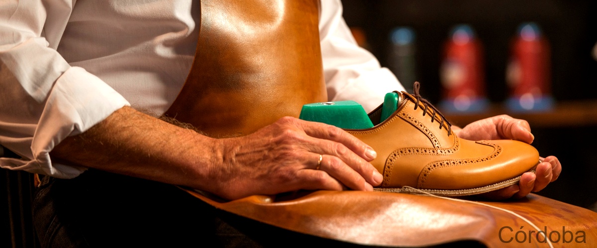 Las 16 mejores reparaciones de calzado de Córdoba