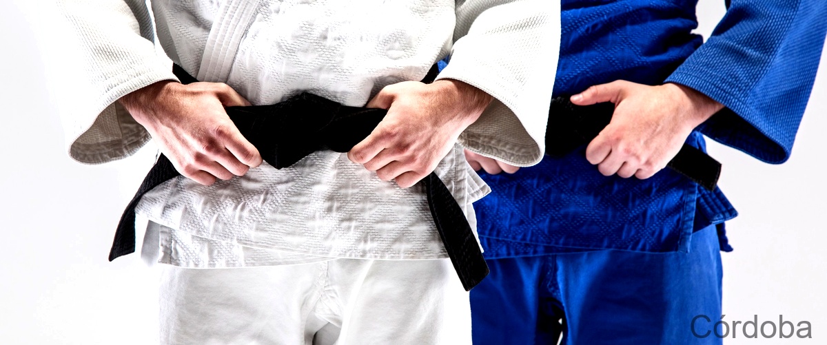 Las 10 mejores Clases de Judo en Córdoba