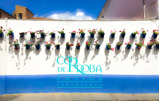 Patios de Córdoba Experience