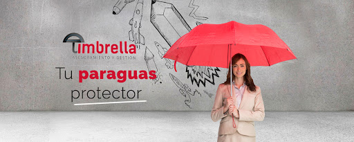 Asesores Umbrella - Fiscal - Laboral - Contable -Tráfico