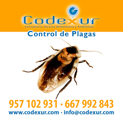 Codexur Consultoría Alimentaria y Ambiental.