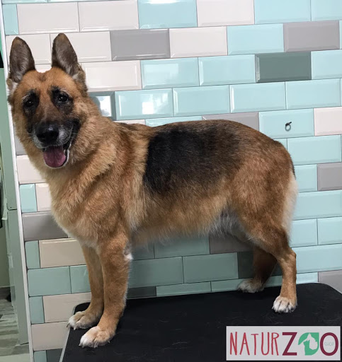 NaturZoo    Peluquería Canina y Tienda de Mascotas    Estilismo Canino y Alimentación Natural